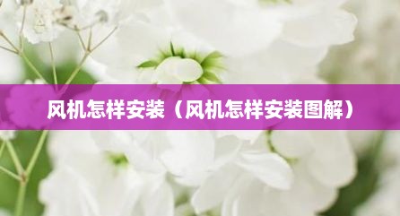 风机怎样安装（风机怎样安装图解）