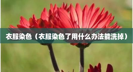 衣服染色（衣服染色了用什么办法能洗掉）