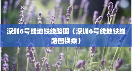 深圳6号线地铁线路图（深圳6号线地铁线路图换乘）