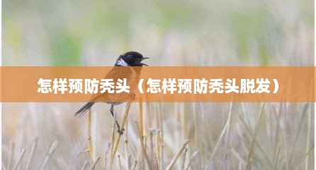 怎样预防秃头（怎样预防秃头脱发）