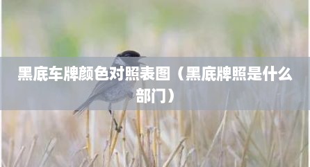 黑底车牌颜色对照表图（黑底牌照是什么部门）