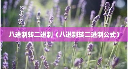 八进制转二进制（八进制转二进制公式）