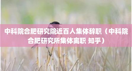 中科院合肥研究院近百人集体辞职（中科院合肥研究所集体离职 知乎）