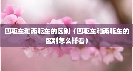 四驱车和两驱车的区别（四驱车和两驱车的区别怎么样看）