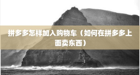 拼多多怎样加入购物车（如何在拼多多上面卖东西）