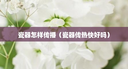 瓷器怎样传播（瓷器传热快好吗）