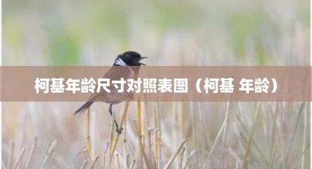 柯基年龄尺寸对照表图（柯基 年龄）