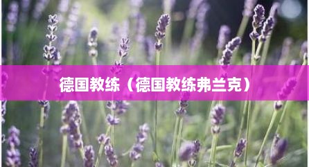 德国教练（德国教练弗兰克）
