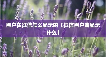黑户在征信怎么显示的（征信黑户会显示什么）