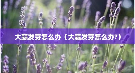 大蒜发芽怎么办（大蒜发芽怎么办?）