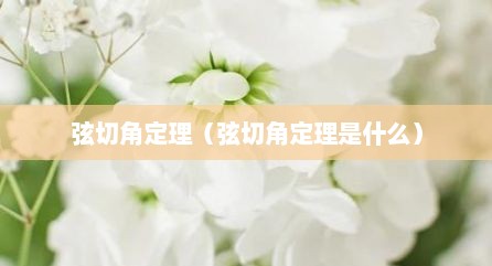 弦切角定理（弦切角定理是什么）