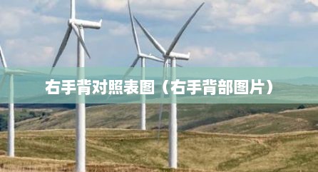 右手背对照表图（右手背部图片）