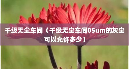 千级无尘车间（千级无尘车间05um的灰尘可以允许多少）