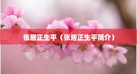 张居正生平（张居正生平简介）