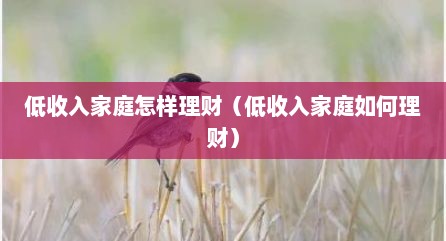 低收入家庭怎样理财（低收入家庭如何理财）