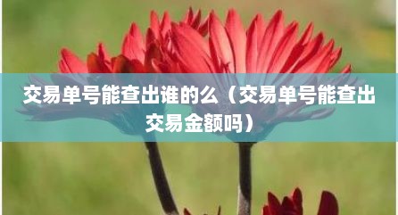 交易单号能查出谁的么（交易单号能查出交易金额吗）