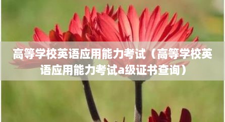 高等学校英语应用能力考试（高等学校英语应用能力考试a级证书查询）