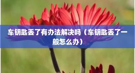 车钥匙丢了有办法解决吗（车钥匙丢了一般怎么办）