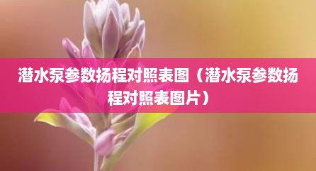 潜水泵参数扬程对照表图（潜水泵参数扬程对照表图片）