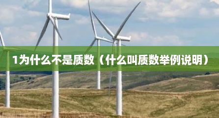 1为什么不是质数（什么叫质数举例说明）