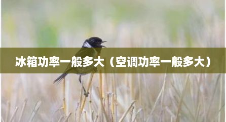 冰箱功率一般多大（空调功率一般多大）