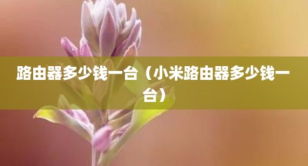路由器多少钱一台（小米路由器多少钱一台）