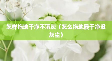 怎样拖地干净不落灰（怎么拖地最干净没灰尘）