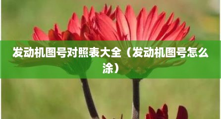发动机图号对照表大全（发动机图号怎么涂）