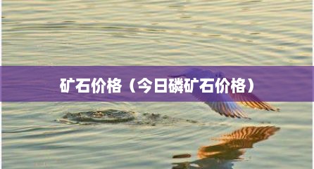 矿石价格（今日磷矿石价格）