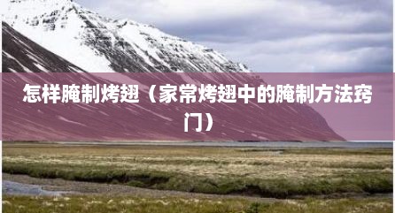 怎样腌制烤翅（家常烤翅中的腌制方法窍门）