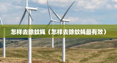 怎样去除蚊蝇（怎样去除蚊蝇最有效）