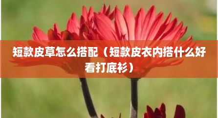 短款皮草怎么搭配（短款皮衣内搭什么好看打底衫）