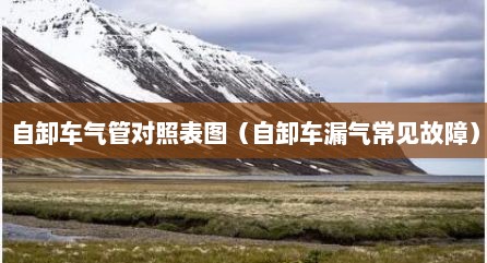 自卸车气管对照表图（自卸车漏气常见故障）