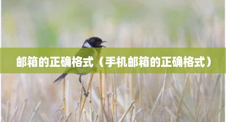 邮箱的正确格式（手机邮箱的正确格式）