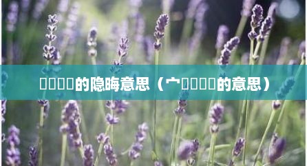 仚屳屲冚的隐晦意思（宀窸窸窣窣的意思）