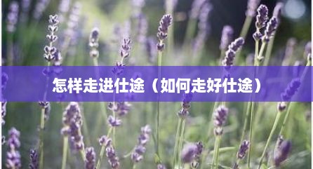 怎样走进仕途（如何走好仕途）