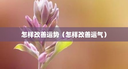 怎样改善运势（怎样改善运气）