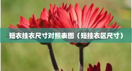 短衣挂衣尺寸对照表图（短挂衣区尺寸）