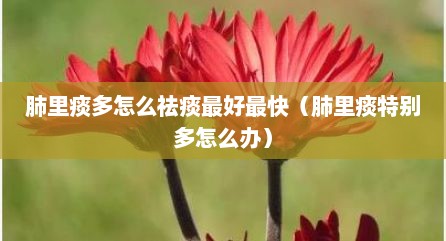 肺里痰多怎么祛痰最好最快（肺里痰特别多怎么办）