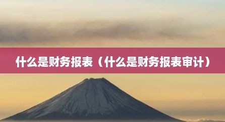 什么是财务报表（什么是财务报表审计）