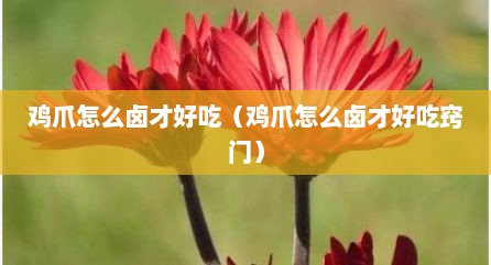 鸡爪怎么卤才好吃（鸡爪怎么卤才好吃窍门）
