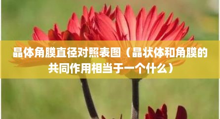 晶体角膜直径对照表图（晶状体和角膜的共同作用相当于一个什么）