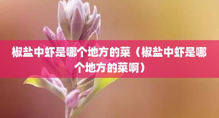 椒盐中虾是哪个地方的菜（椒盐中虾是哪个地方的菜啊）