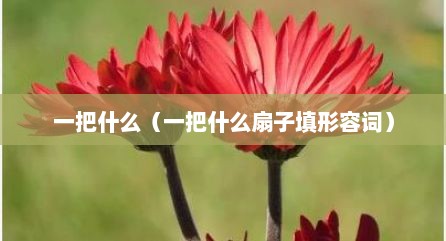 一把什么（一把什么扇子填形容词）