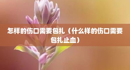 怎样的伤口需要包扎（什么样的伤口需要包扎止血）