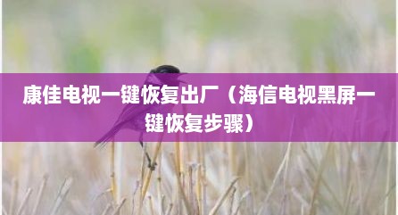 康佳电视一键恢复出厂（海信电视黑屏一键恢复步骤）
