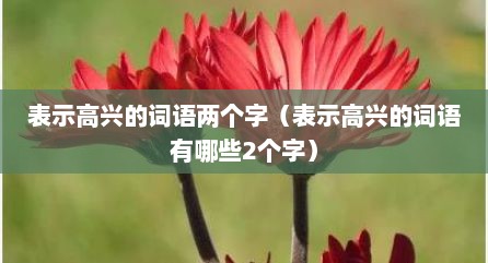 表示高兴的词语两个字（表示高兴的词语有哪些2个字）