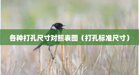 各种打孔尺寸对照表图（打孔标准尺寸）