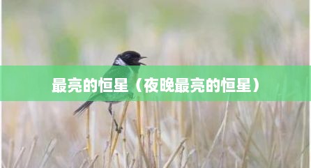 最亮的恒星（夜晚最亮的恒星）
