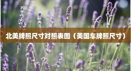 北美牌照尺寸对照表图（美国车牌照尺寸）